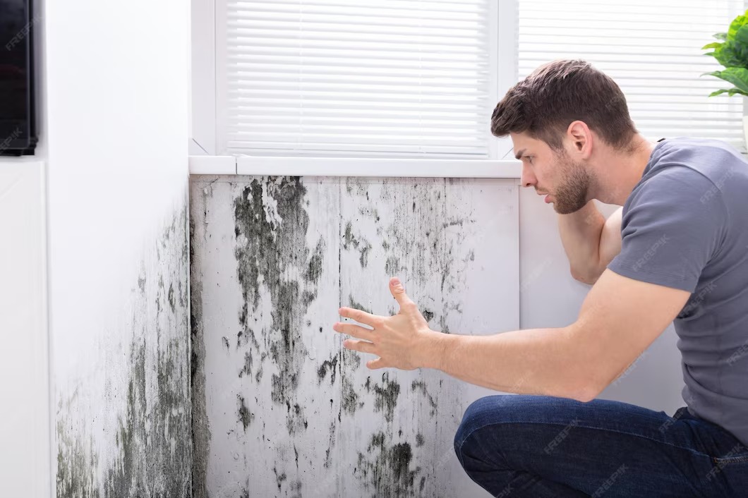 Man inspecting mold growth on wall in residential setting, highlighting the importance of professional mold inspections in Florida homes.