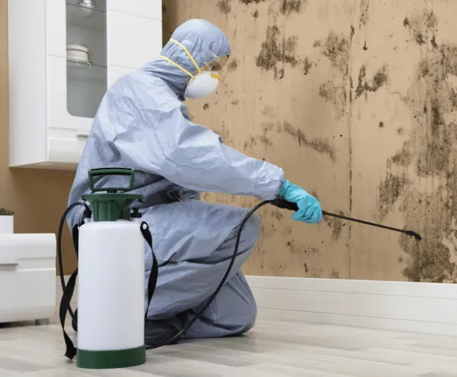 Technician in protective gear applying mold remediation treatment in a residential setting with visible mold on the wall, emphasizing professional mold removal services.