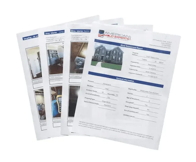 Mold assessment report documents from American Mold Experts SWFL, featuring images and details related to mold inspection and remediation services.
