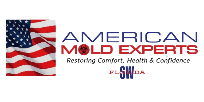 American Mold Experts logo with American flag, emphasizing mold remediation services in Florida, restoring health and comfort.